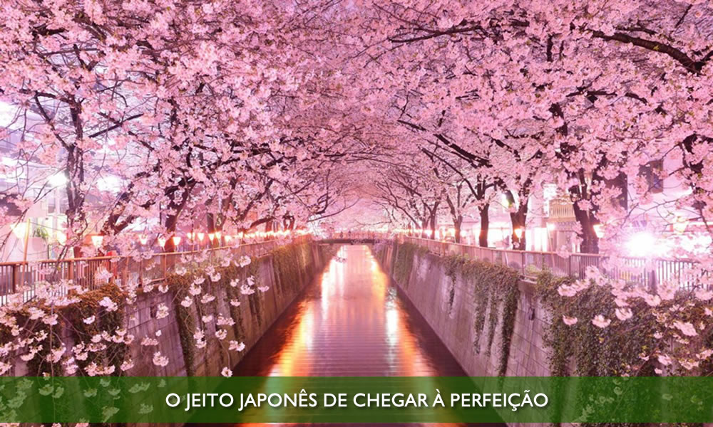 Figura 12 - CONTABILIDADE GERENCIAL. FERRAMENTA FUNDAMENTAL PARA UMA GESTÃO VENCEDORA